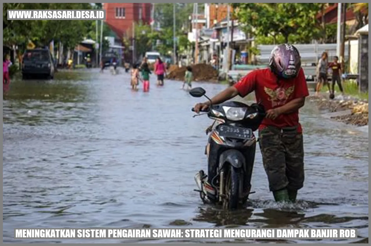 Meningkatkan Sistem Pengairan Sawah: Strategi Mengurangi Dampak Banjir Rob