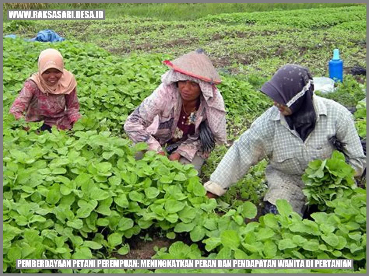 Pemberdayaan Petani Perempuan: Meningkatkan Peran dan Pendapatan Wanita di Pertanian